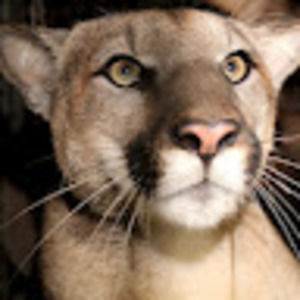 Meet your Posher, Jeff